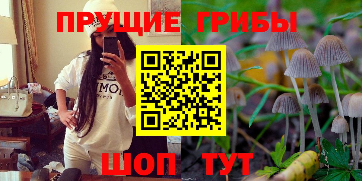 Галлюциногенные грибы Psilocybine cubensis  Вход с VPN  Владивосток 